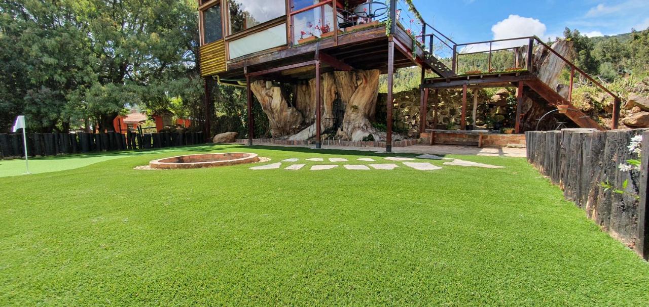 Casa En El Arbol Villa Suesca Eksteriør billede
