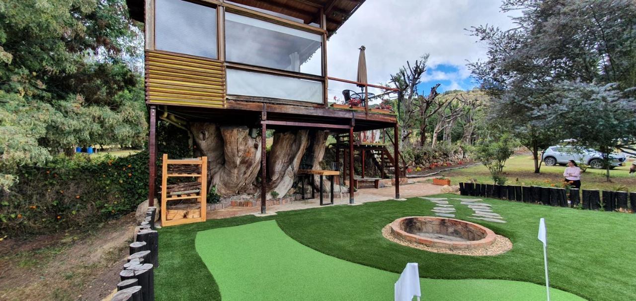Casa En El Arbol Villa Suesca Eksteriør billede