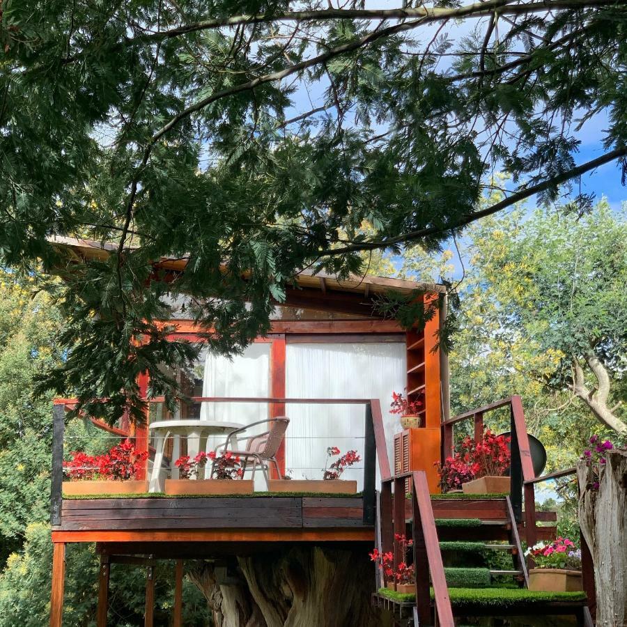 Casa En El Arbol Villa Suesca Eksteriør billede