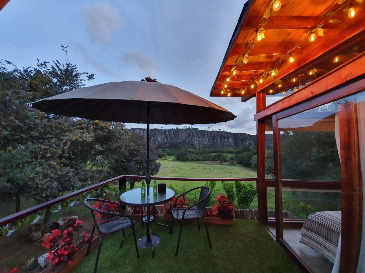 Casa En El Arbol Villa Suesca Eksteriør billede