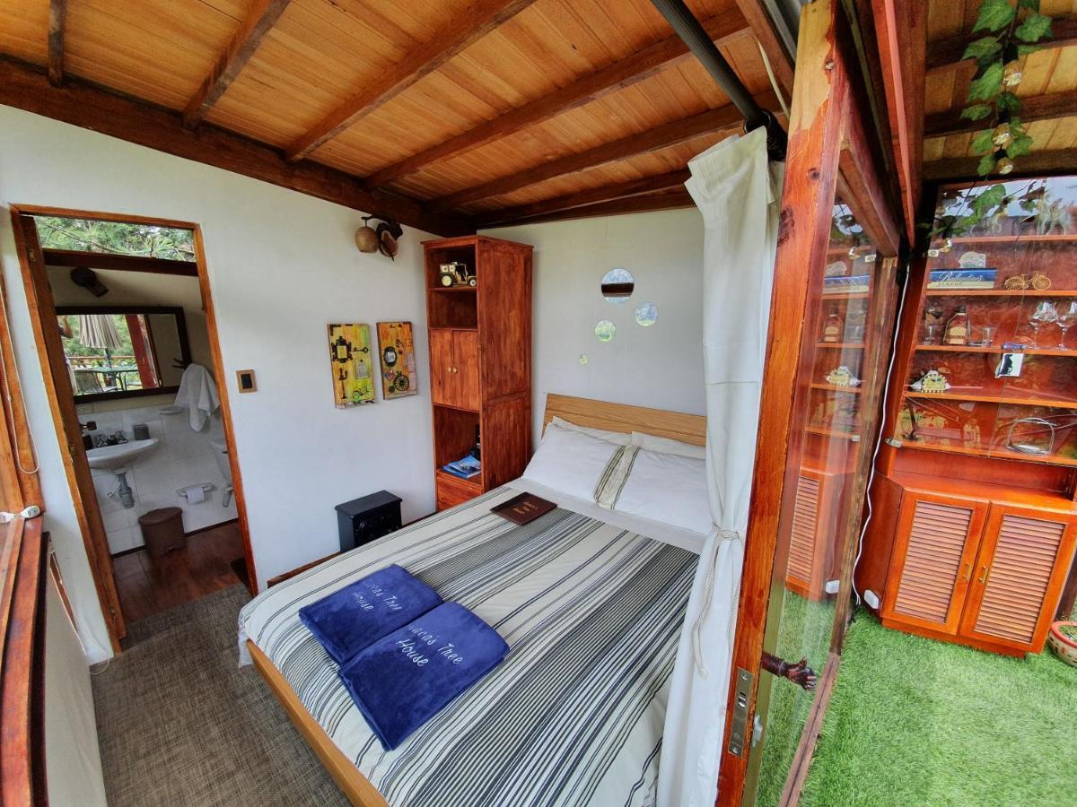 Casa En El Arbol Villa Suesca Eksteriør billede